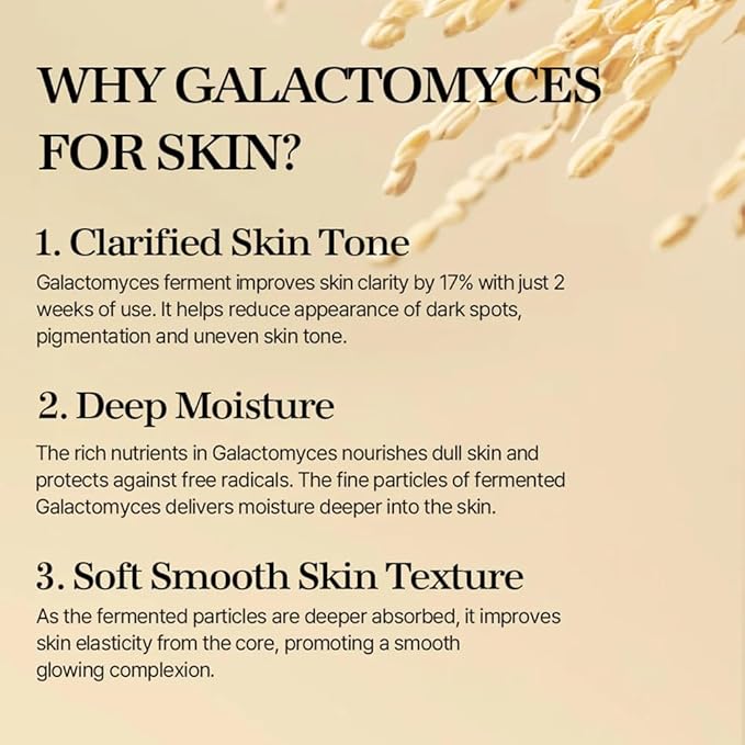 mixsoon Galactomyces Ferment Essence - Deep Moisture, Tone Clarifying Essence to Smooth Skin for Dull, Uneven Skin - Korean Skincare for Glass Skin - Vegan (3.38 fl.oz / 100ml)