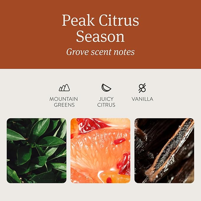 drift Car Air Freshener - Wood Air Freshener - Car Odor Eliminator - Grove Scent Starter Kit Black