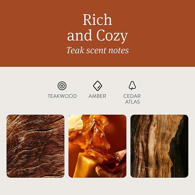 Drift Car Air Freshener - Wood Air Freshener - Car Odor Eliminator - Teak Scent Starter Kit