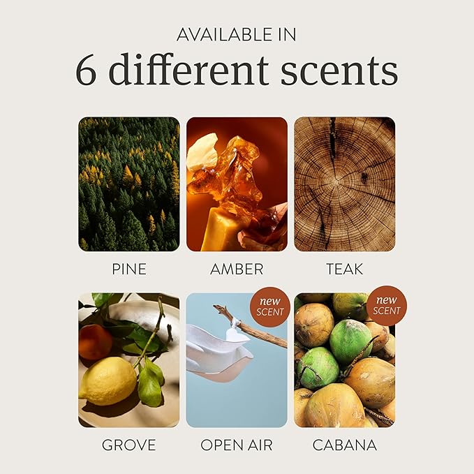 Drift on Amazon Wood Air Freshener Starter Kit- Apple Picking