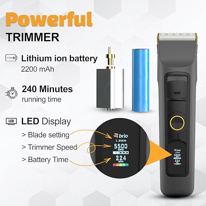 Brio Beardscape V2 Beard Trimmer for Men Professional with Low Friction Ceramic Blade, Cordless Professional Hair Trimmer for Barbers with 4 Hrs of Long Battery Timing, Ideal for Beard & Body (Gray)