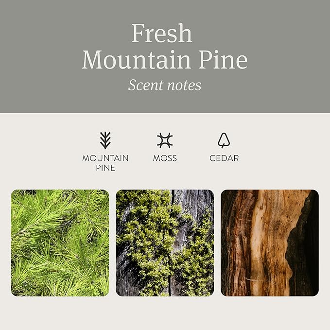 Drift Car Air Freshener - Stone Air Freshener - Car Odor Eliminator - Pine Scent Refill - NO CLIP INCLUDED